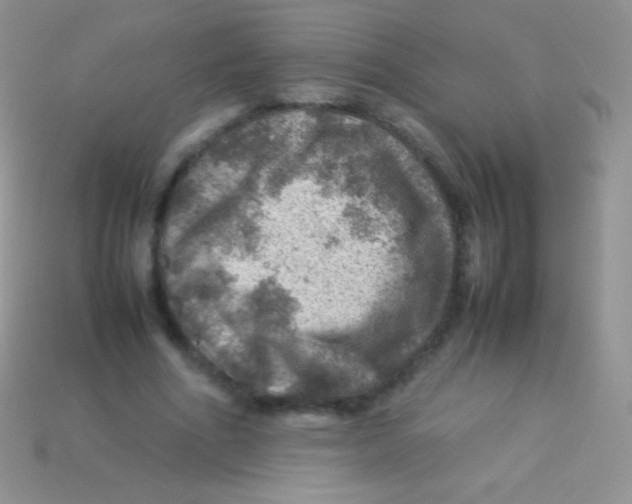 X0000113640586200910162039