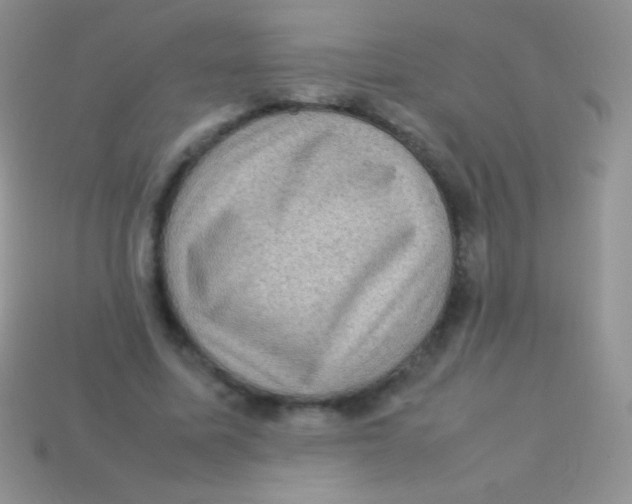 X0000113640587200910162039