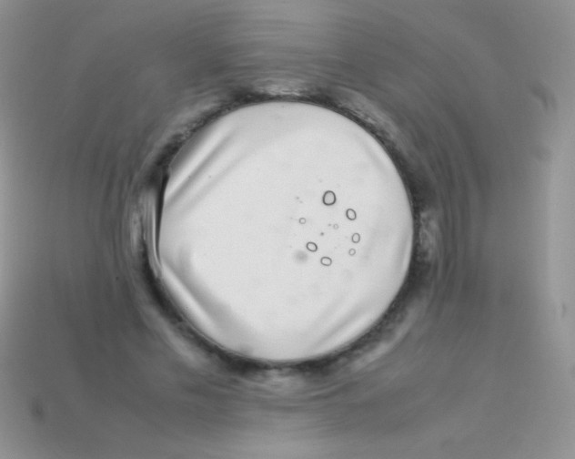 X0000113640589200910162039