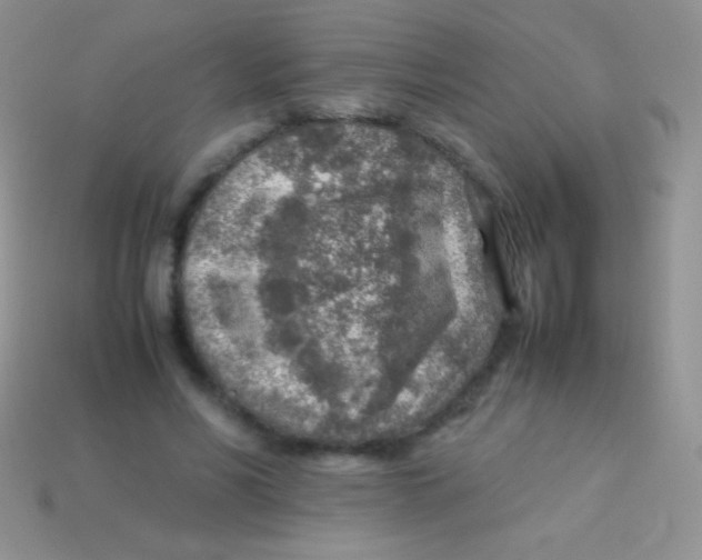 X0000113640590200910162039