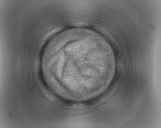 X0000113640591200910162039