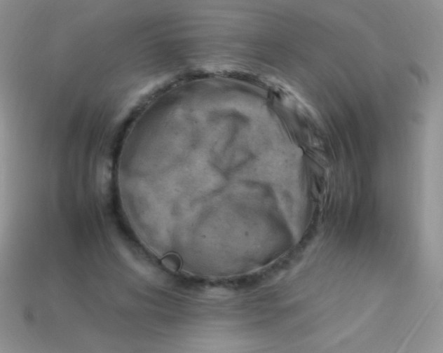 X0000113640592200910162039