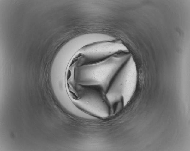 X0000113640593200910162039