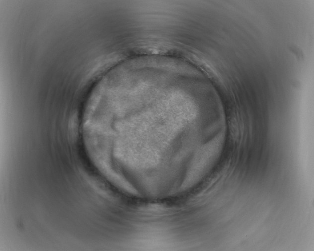 X0000113640594200910162039