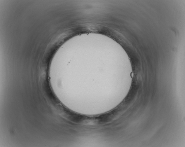 X0000113640595200910162039