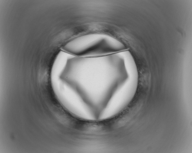 X0000113640597200910162039