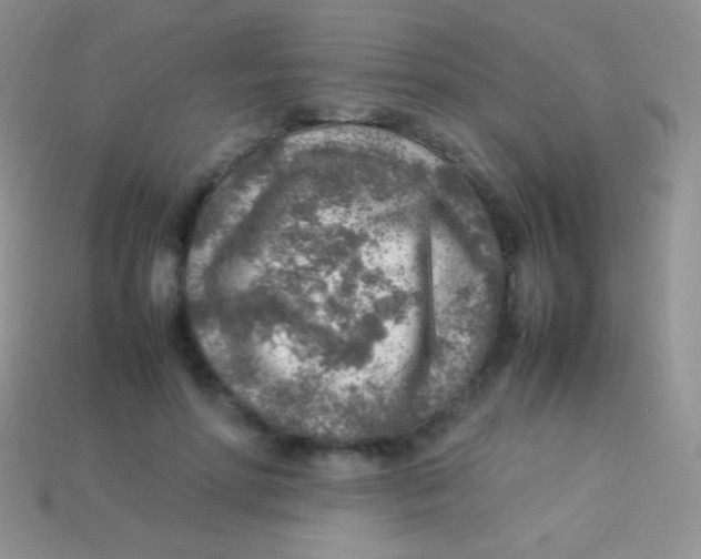 X0000113640598200910162039