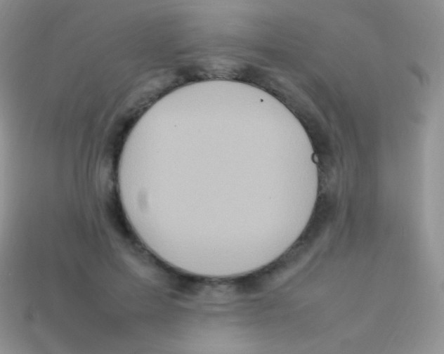 X0000113640599200910162039