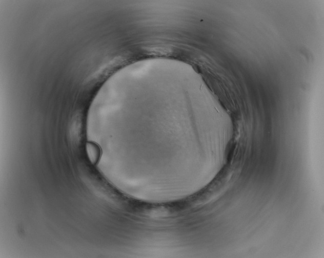 X0000113640600200910162039