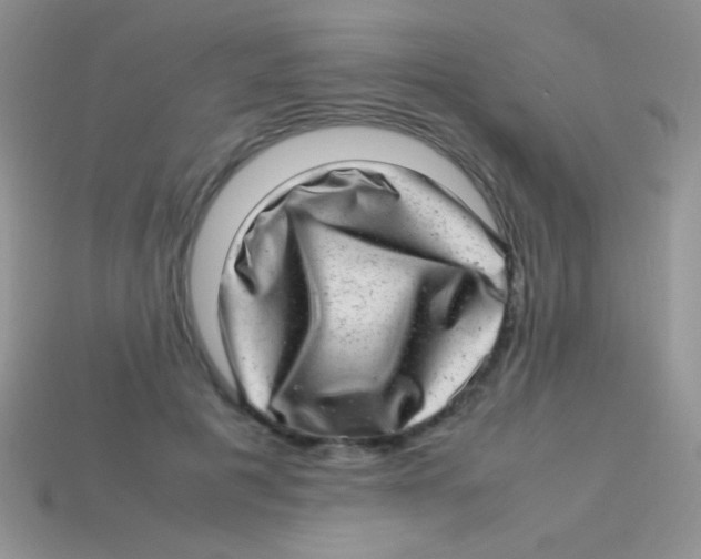 X0000113640601200910162039