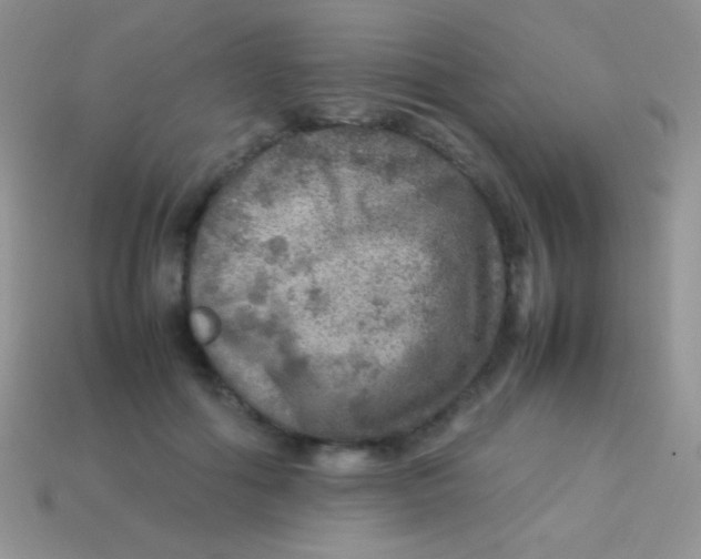 X0000113640602200910162039