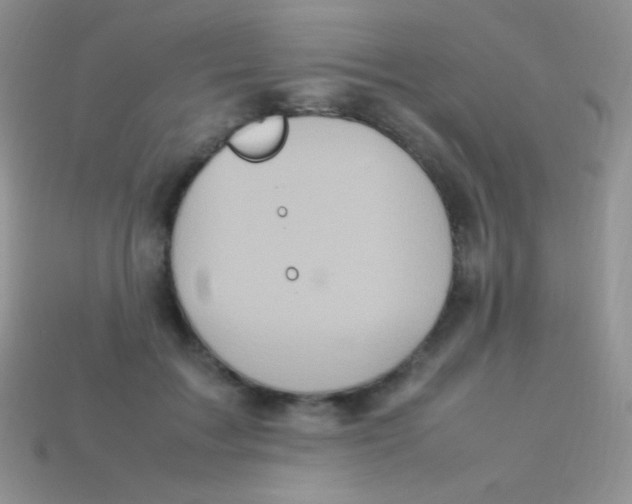 X0000113640603200910162039