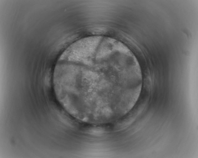 X0000113640604200910162039