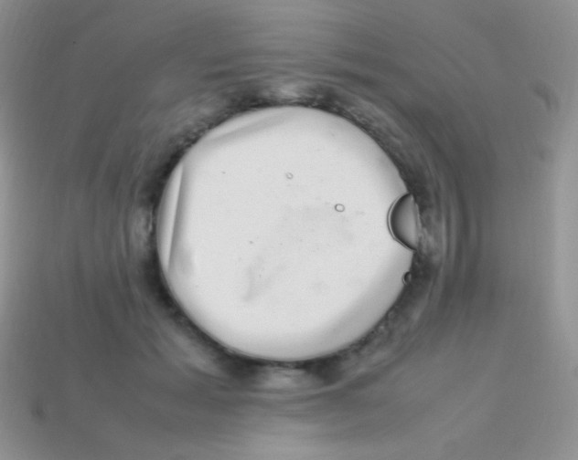 X0000113640605200910162039