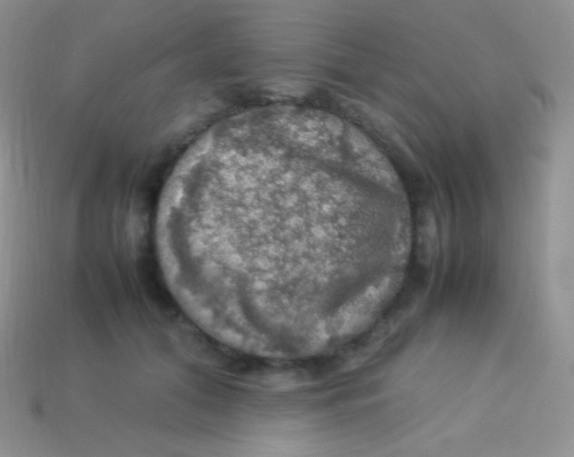 X0000113640608200910162039