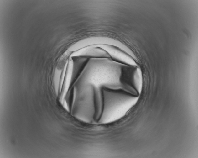 X0000113640609200910162039