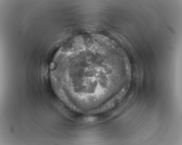 X0000113640610200910162038