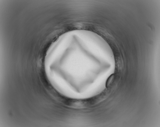 X0000113640611200910162038