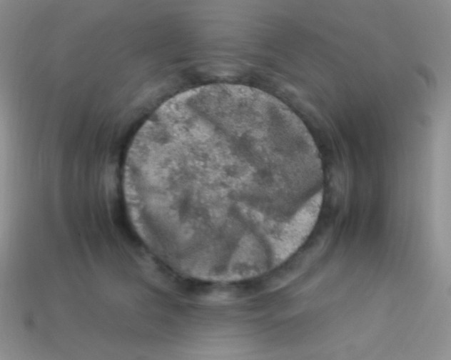 X0000113640612200910162038