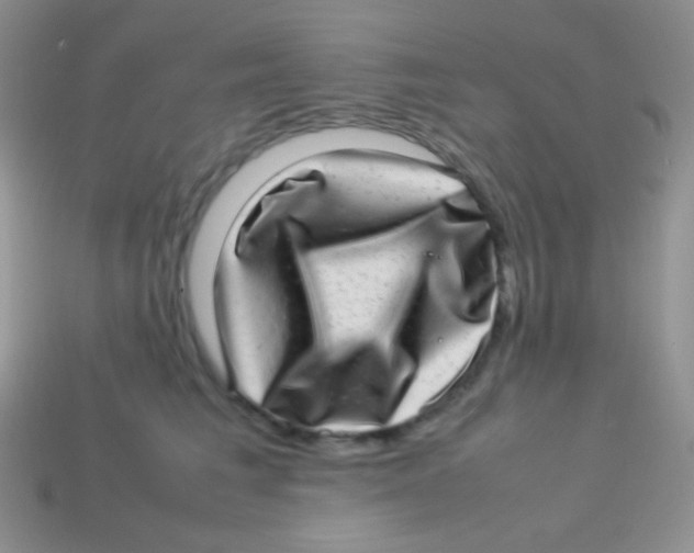 X0000113640613200910162038