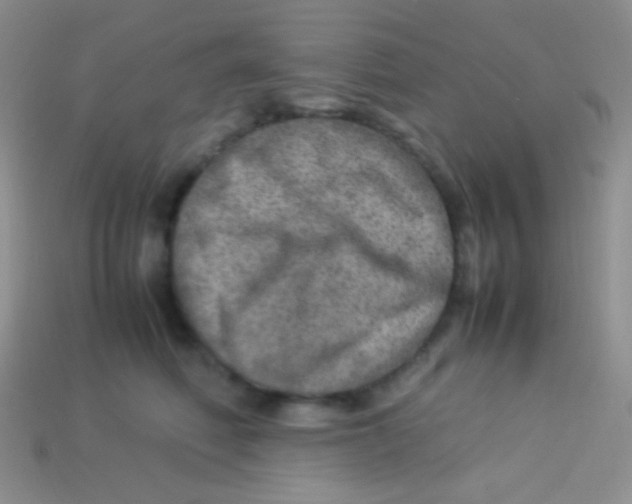 X0000113640614200910162038