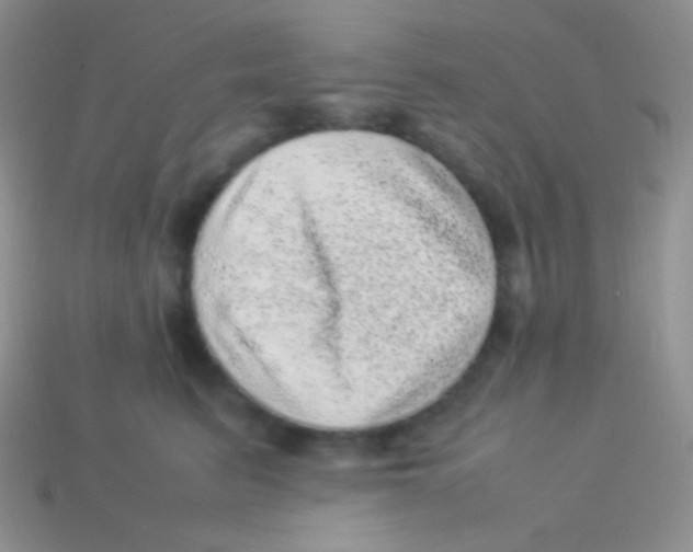 X0000113640615200910162038