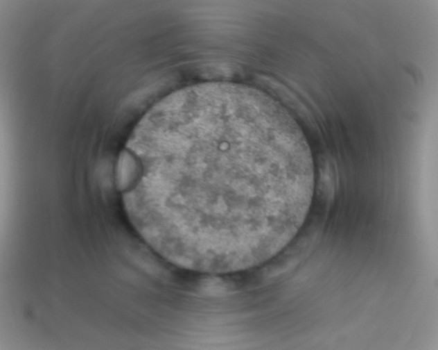 X0000113640616200910162038