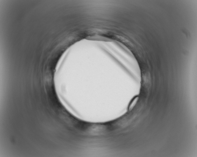 X0000113640617200910162038