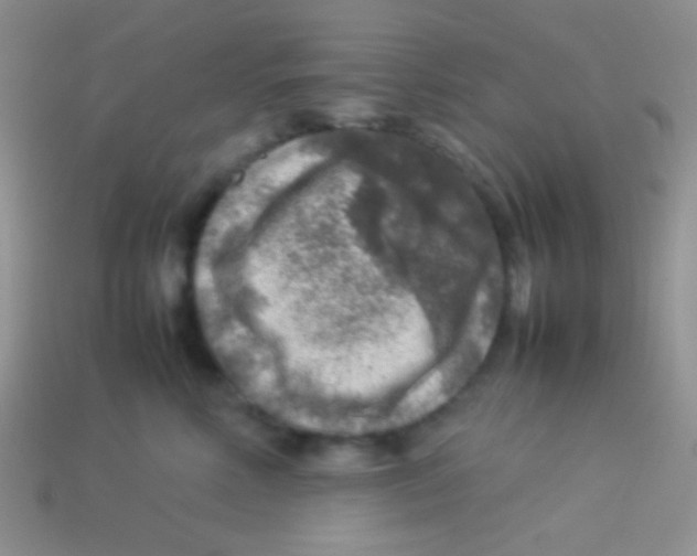 X0000113640618200910162038