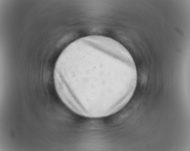 X0000113640619200910162038