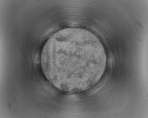 X0000113640620200910162038