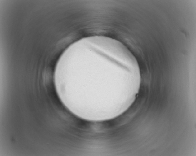 X0000113640623200910162038