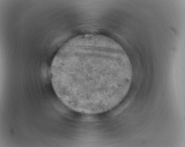 X0000113640624200910162038