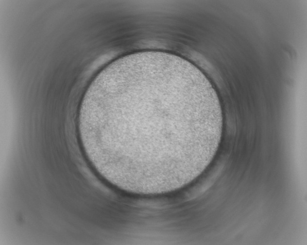 X0000113640625200910162038