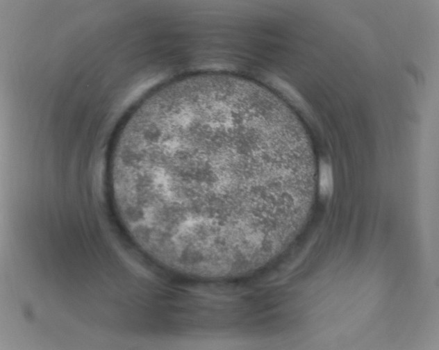 X0000113640627200910162038