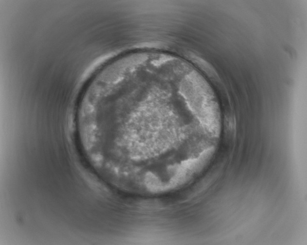 X0000113640628200910162038