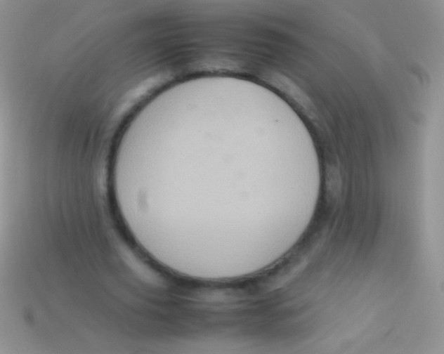 X0000113640629200910162038