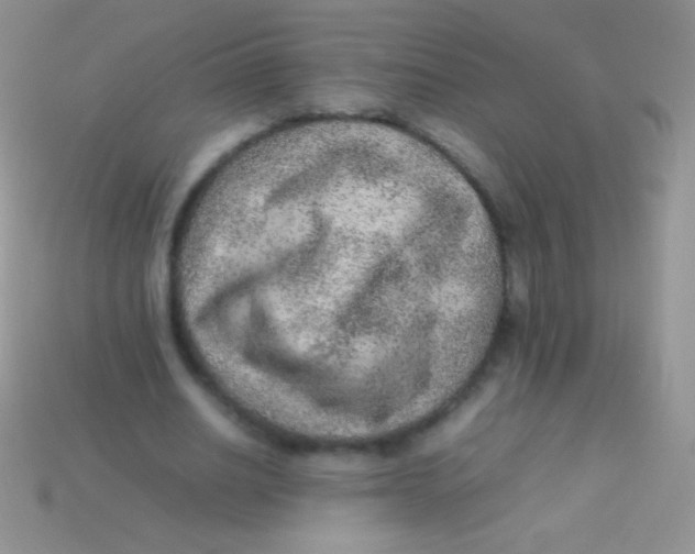 X0000113640630200910162038