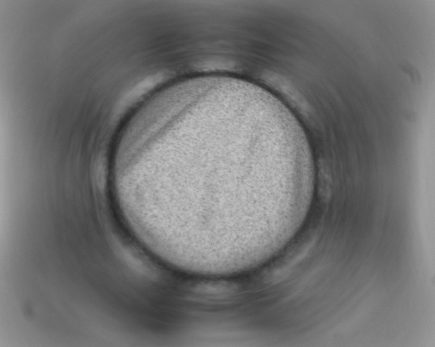 X0000113640631200910162038