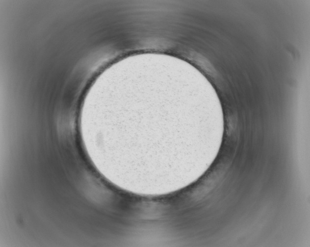 X0000113640632200910162038