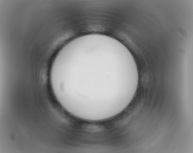 X0000113640635200910162038