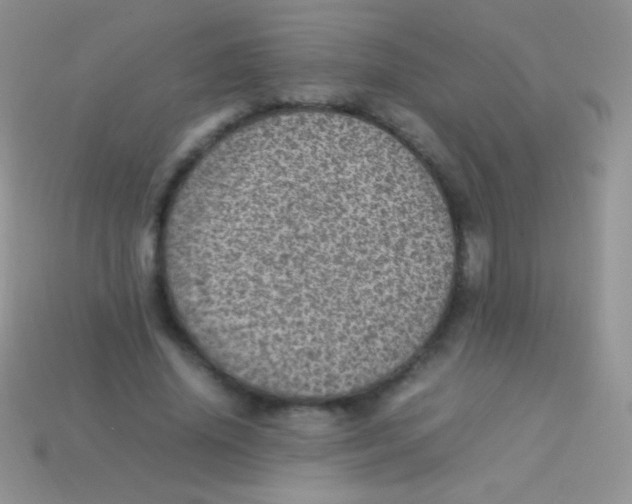 X0000113640636200910162038