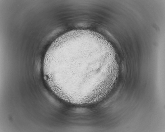 X0000113640637200910162038