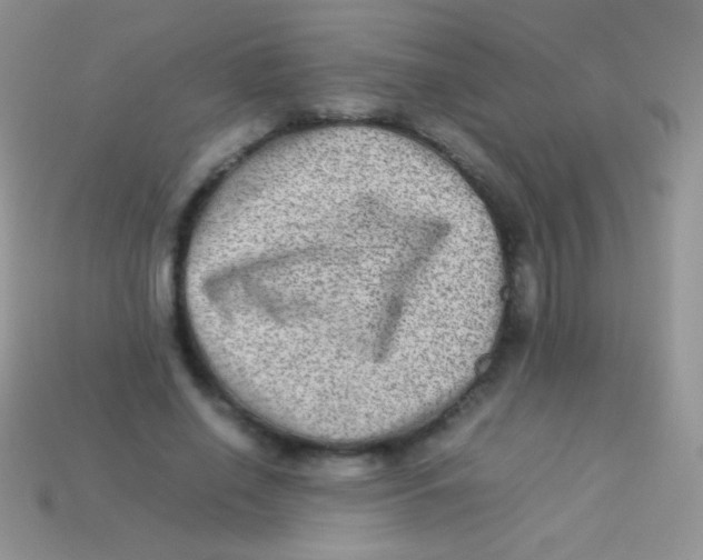 X0000113640638200910162038