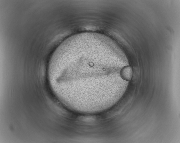 X0000113640639200910162038