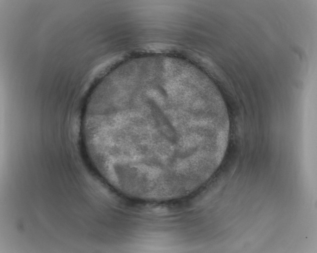 X0000113640640200910162038