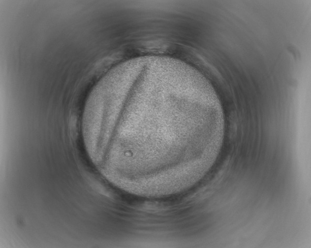 X0000113640641200910162038