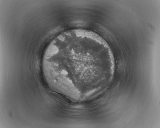 X0000113640643200910162038