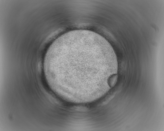 X0000113640644200910162038