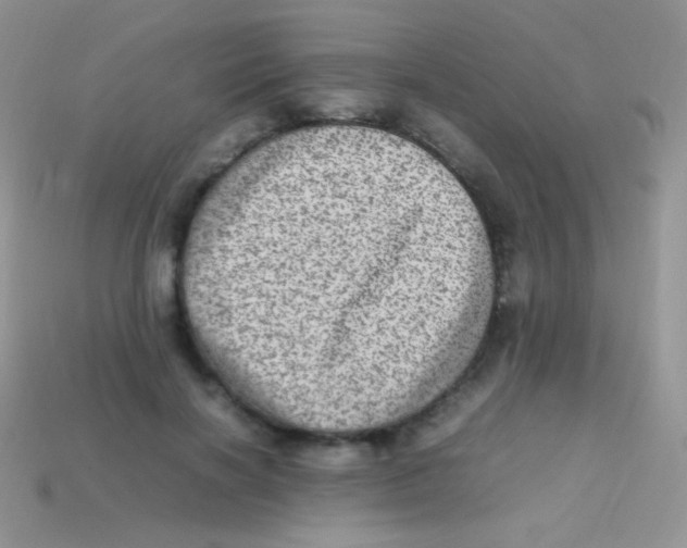 X0000113640646200910162038